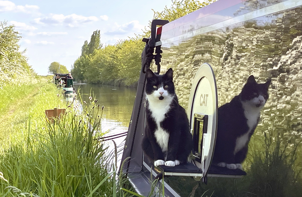 /editorial_images/page_images/featured_images/canal_connections/andy_hamblin/catflap.jpg