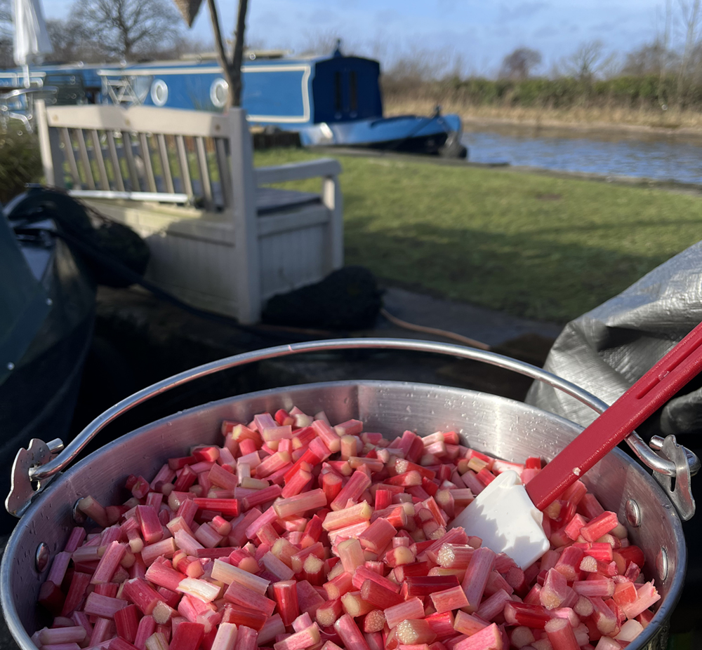Preparing the rhubarb for batch cooking.