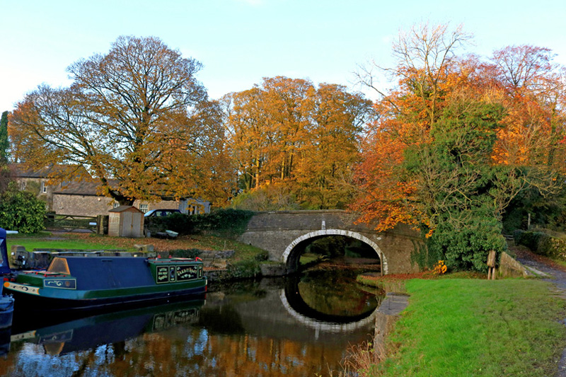 FV-Paul-Biggs-East-Marton-near-Gargrave-over--the-Leeds-to-Liverpool-Canal--on-5.11.19.jpg