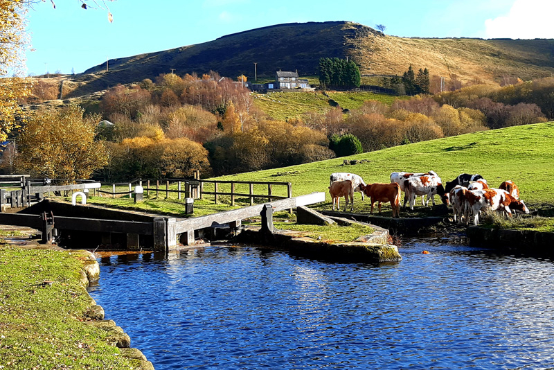 editorial_images/page_images/featured_images/gallery/favourite_views/FV-Rochdale-Canal-Todmorden-Philip-Mann1.jpg